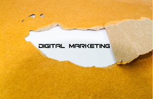 Digital Marketing Trends and How to Make the Most out of Them