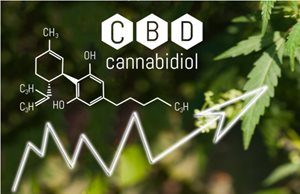 5 Digital Marketing Tips to Grow a CBD Brand