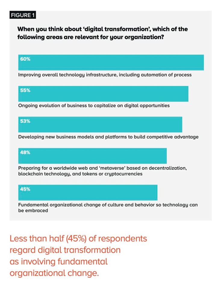 Netcel-report-chart-image.jpg