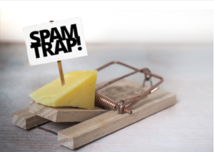 Spam Traps: Ignorance is NOT Bliss 