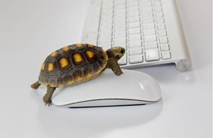 How Slow Website Performance Affects Conversion Rates