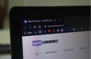 A Complete Brief Why You Should Use WooCommerce