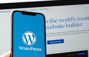 Why SMEs Need to Keep WordPress up to Date to Keep Websites Secure